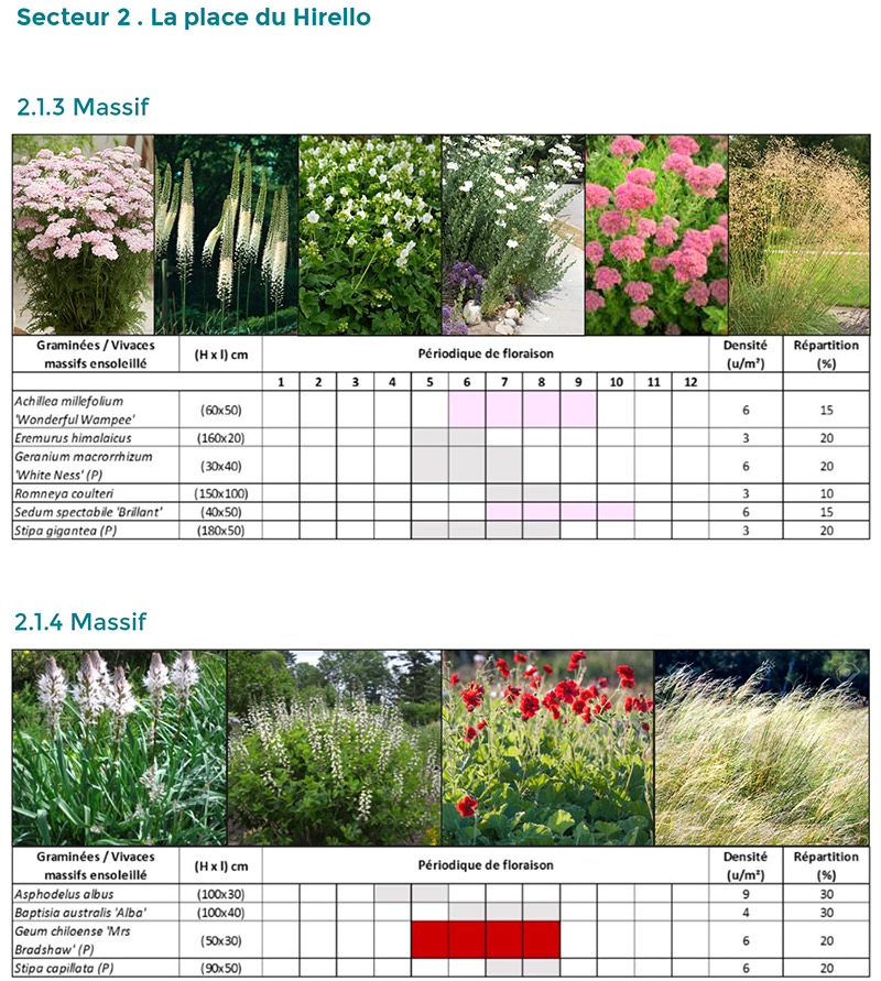 Références florales Hirello