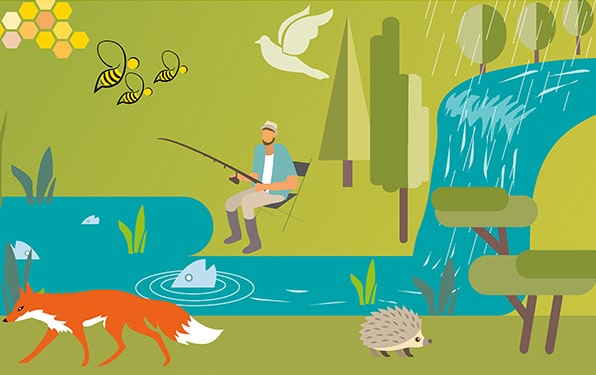 Environnement illustration